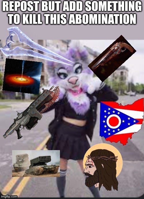 black hole momen | image tagged in repost,anti furry | made w/ Imgflip meme maker