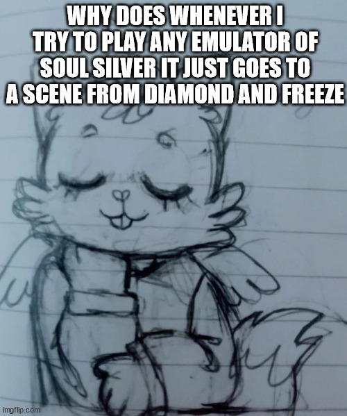 kitty think about smth | WHY DOES WHENEVER I TRY TO PLAY ANY EMULATOR OF SOUL SILVER IT JUST GOES TO A SCENE FROM DIAMOND AND FREEZE | image tagged in kitty think about smth | made w/ Imgflip meme maker