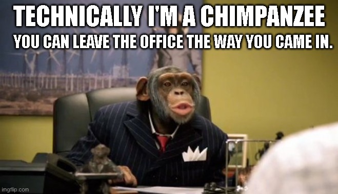 Let me tell you a thing or two | TECHNICALLY I'M A CHIMPANZEE YOU CAN LEAVE THE OFFICE THE WAY YOU CAME IN. | image tagged in let me tell you a thing or two | made w/ Imgflip meme maker