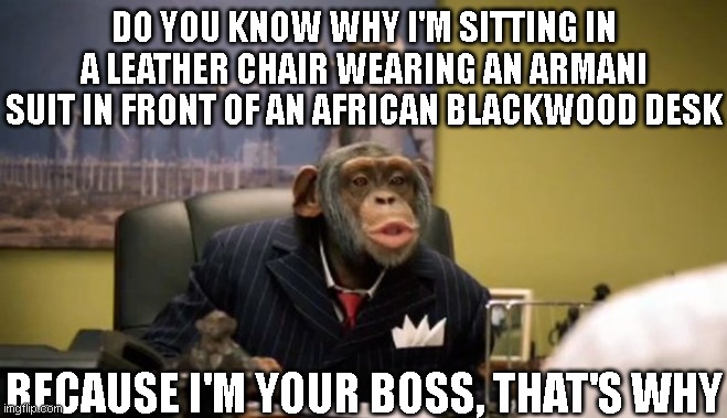Smug Monkey | DO YOU KNOW WHY I'M SITTING IN A LEATHER CHAIR WEARING AN ARMANI SUIT IN FRONT OF AN AFRICAN BLACKWOOD DESK; BECAUSE I'M YOUR BOSS, THAT'S WHY | image tagged in let me tell you a thing or two | made w/ Imgflip meme maker
