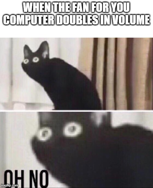 Oh no cat | WHEN THE FAN FOR YOU COMPUTER DOUBLES IN VOLUME | image tagged in oh no cat | made w/ Imgflip meme maker
