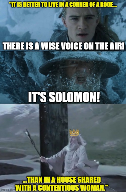 Solomon/Sarumon | "IT IS BETTER TO LIVE IN A CORNER OF A ROOF.... THERE IS A WISE VOICE ON THE AIR! IT'S SOLOMON! ...THAN IN A HOUSE SHARED WITH A CONTENTIOUS WOMAN." | image tagged in there is a fell voice on the air,lotr,lord of the rings,the lord of the rings,saruman,gandalf | made w/ Imgflip meme maker