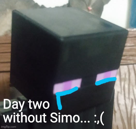 Where is he..? *cry* | Day two without Simo... :,( | image tagged in enderman stare | made w/ Imgflip meme maker