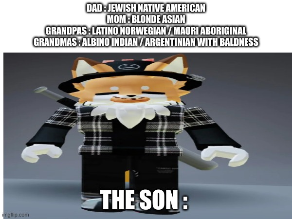 mixed | DAD : JEWISH NATIVE AMERICAN
MOM : BLONDE ASIAN
GRANDPAS : LATINO NORWEGIAN / MAORI ABORIGINAL
GRANDMAS : ALBINO INDIAN / ARGENTINIAN WITH BALDNESS; THE SON : | image tagged in funny,memes | made w/ Imgflip meme maker