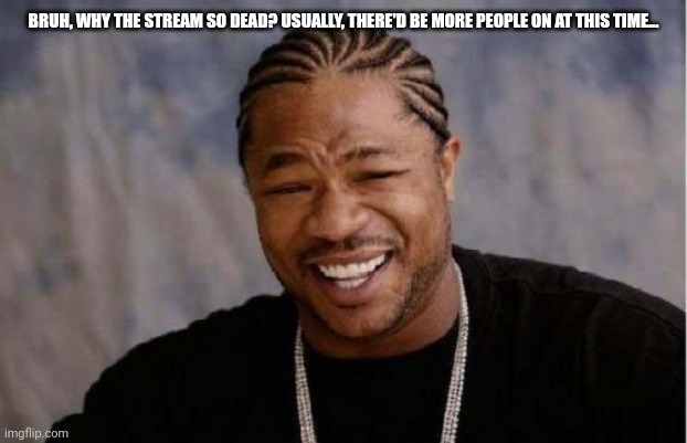 . | BRUH, WHY THE STREAM SO DEAD? USUALLY, THERE'D BE MORE PEOPLE ON AT THIS TIME... | image tagged in memes,yo dawg heard you | made w/ Imgflip meme maker