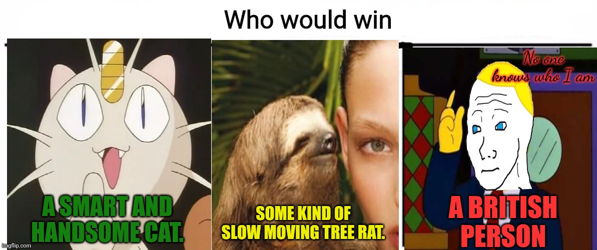 Attack adddddddddddd | No one knows who I am; SOME KIND OF SLOW MOVING TREE RAT. A BRITISH PERSON; A SMART AND HANDSOME CAT. | image tagged in 3x who would win,stop it get some help,meowth,natures perfect warrior | made w/ Imgflip meme maker