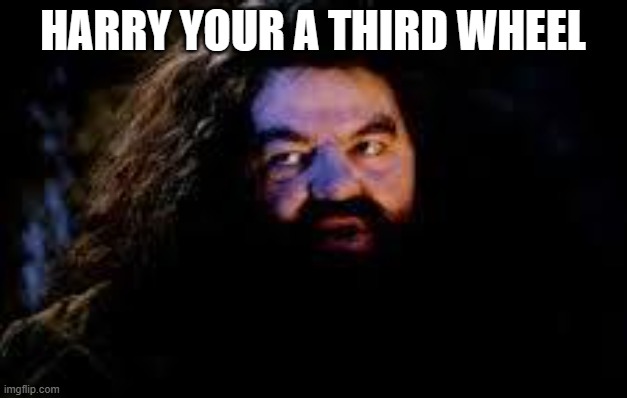 laughed so hard when I thought about it | HARRY YOUR A THIRD WHEEL | image tagged in your a wizard harry | made w/ Imgflip meme maker