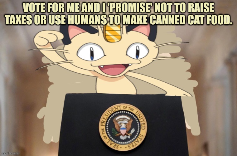 Still the best presidential candidate. | VOTE FOR ME AND I 'PROMISE' NOT TO RAISE TAXES OR USE HUMANS TO MAKE CANNED CAT FOOD. | image tagged in meowth party,meowth | made w/ Imgflip meme maker