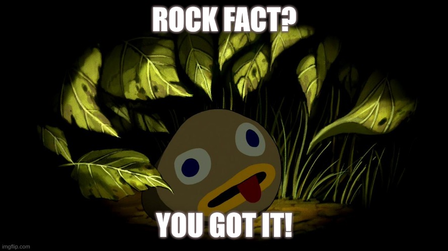 Rock fact? You got it! | ROCK FACT? YOU GOT IT! | image tagged in rock fact | made w/ Imgflip meme maker