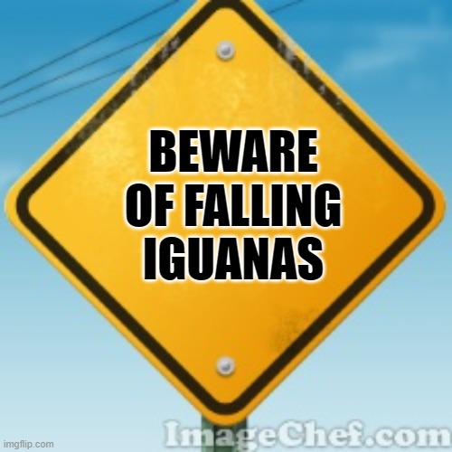 Yellow Road Sign | BEWARE OF FALLING IGUANAS | image tagged in yellow road sign | made w/ Imgflip meme maker