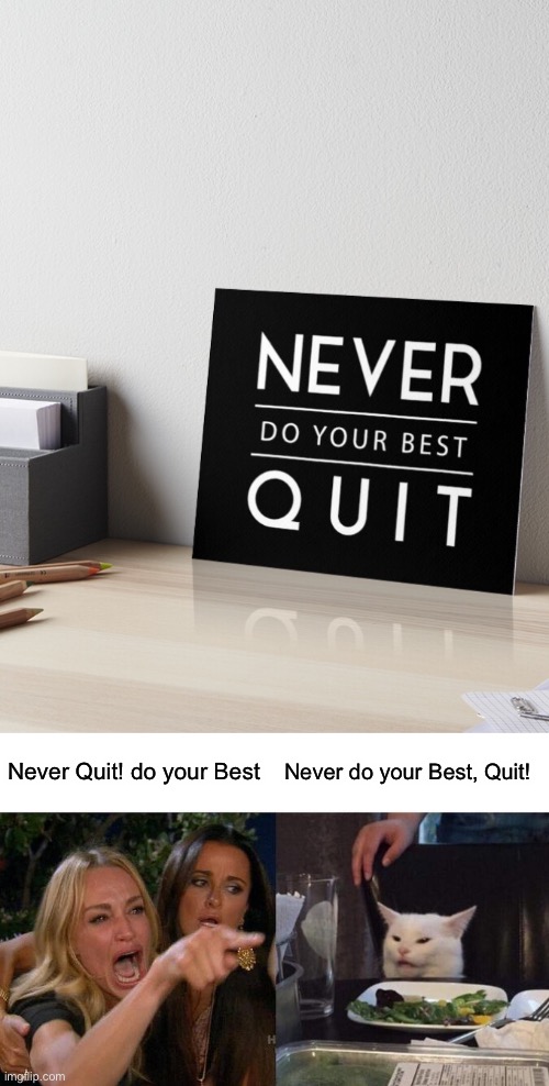 Never Do your Best, QUIT | Never Quit! do your Best; Never do your Best, Quit! | image tagged in memes,woman yelling at cat,design fails,crappy design,you had one job,stupid signs | made w/ Imgflip meme maker