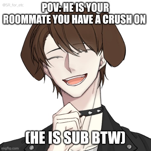 (Rules: no hurting him/killing him, no joke oc, any gender) | POV: HE IS YOUR ROOMMATE YOU HAVE A CRUSH ON; (HE IS SUB BTW) | made w/ Imgflip meme maker