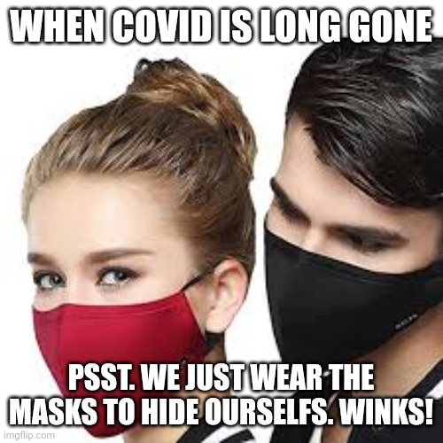 Mask Couple | WHEN COVID IS LONG GONE; PSST. WE JUST WEAR THE MASKS TO HIDE OURSELFS. WINKS! | image tagged in mask couple | made w/ Imgflip meme maker