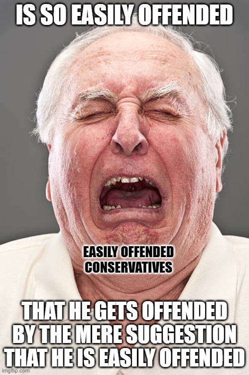 There's no bigger snowflake than what conservatives call a "traditional male". | IS SO EASILY OFFENDED; EASILY OFFENDED
CONSERVATIVES; THAT HE GETS OFFENDED BY THE MERE SUGGESTION THAT HE IS EASILY OFFENDED | image tagged in conservative tears,offended,toxic masculinity,hurt feelings,conservative logic,tough guy wanna be | made w/ Imgflip meme maker