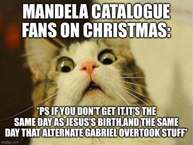 Scared Cat Meme | MANDELA CATALOGUE FANS ON CHRISTMAS:; *PS IF YOU DON’T GET IT,IT’S THE SAME DAY AS JESUS’S BIRTH,AND THE SAME DAY THAT ALTERNATE GABRIEL OVERTOOK STUFF* | image tagged in memes,scared cat | made w/ Imgflip meme maker