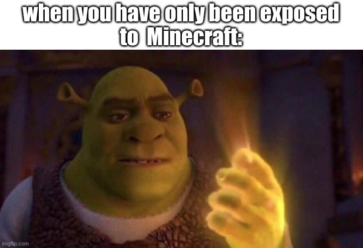 Shrek Glowing Hand | when you have only been exposed
to  Minecraft: | image tagged in shrek glowing hand,minecraft | made w/ Imgflip meme maker