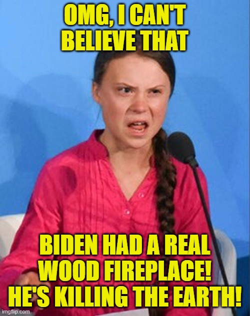 Greta Thunberg how dare you | OMG, I CAN'T BELIEVE THAT BIDEN HAD A REAL WOOD FIREPLACE! HE'S KILLING THE EARTH! | image tagged in greta thunberg how dare you | made w/ Imgflip meme maker