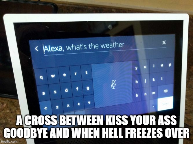 Snowpocalypse |  A CROSS BETWEEN KISS YOUR ASS GOODBYE AND WHEN HELL FREEZES OVER | image tagged in blizzard,snow,winter,alexa,amazon echo | made w/ Imgflip meme maker