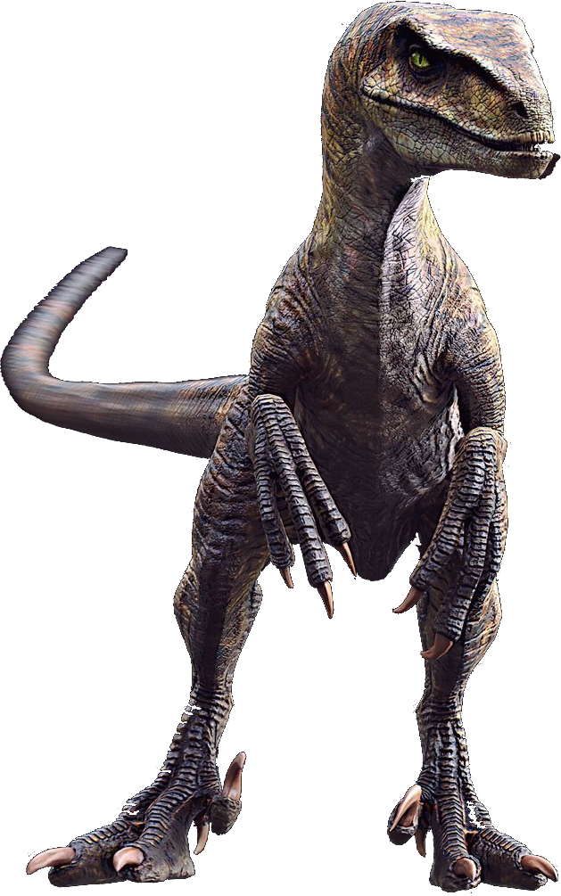 TLW Velociraptor Blank Meme Template