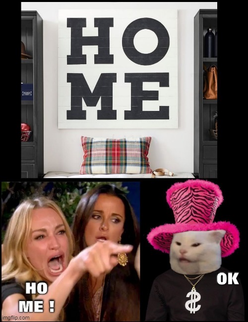 ho me out, pimp cat | image tagged in woman yelling at cat,ho,pimp,cat,girls yelling at cat,hooker | made w/ Imgflip meme maker
