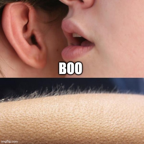 Whisper and Goosebumps | BOO | image tagged in whisper and goosebumps | made w/ Imgflip meme maker