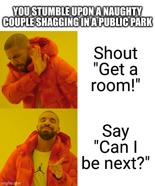 What Would Lennyface Do? | YOU STUMBLE UPON A NAUGHTY COUPLE SHAGGING IN A PUBLIC PARK; Shout "Get a
room!"; Say "Can I be next?" | image tagged in memes,drake hotline bling | made w/ Imgflip meme maker