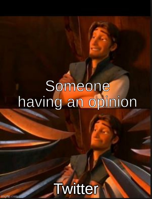 Twitter be like | Someone having an opinion; Twitter | image tagged in tangled 2,twitter | made w/ Imgflip meme maker