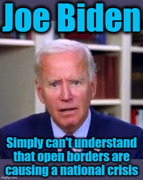 He was stupid before he became senile | Joe Biden; Simply can't understand
that open borders are
causing a national crisis | image tagged in slow joe biden dementia face,memes,open borders,illegal immigration,democrats,crisis | made w/ Imgflip meme maker