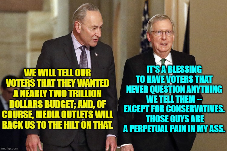 Sadly . . . this IS reality. | IT'S A BLESSING TO HAVE VOTERS THAT NEVER QUESTION ANYTHING WE TELL THEM -- EXCEPT FOR CONSERVATIVES.  THOSE GUYS ARE A PERPETUAL PAIN IN MY ASS. WE WILL TELL OUR VOTERS THAT THEY WANTED A NEARLY TWO TRILLION DOLLARS BUDGET; AND, OF COURSE, MEDIA OUTLETS WILL BACK US TO THE HILT ON THAT. | image tagged in truth | made w/ Imgflip meme maker