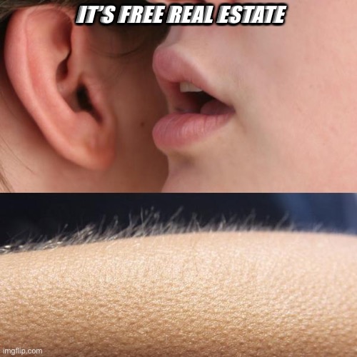 Anyone remember that | IT’S FREE REAL ESTATE | image tagged in whisper and goosebumps | made w/ Imgflip meme maker