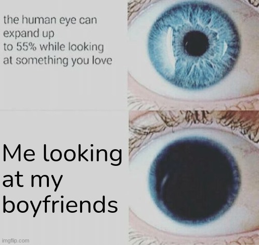 Ily guys <3 | Me looking at my boyfriends | image tagged in eye pupil expand,poly,gay | made w/ Imgflip meme maker