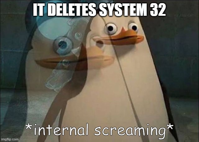 Private Internal Screaming | IT DELETES SYSTEM 32 | image tagged in private internal screaming | made w/ Imgflip meme maker
