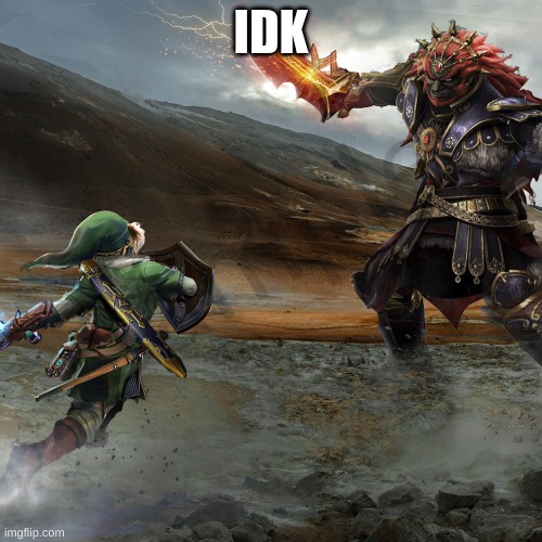 Link V.S. Ganondorf | IDK | image tagged in link v s ganondorf | made w/ Imgflip meme maker