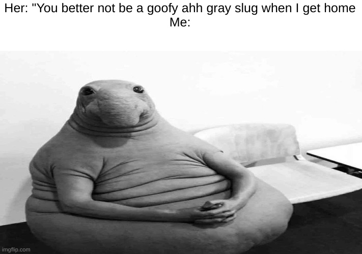 Her: "You better not be a goofy ahh gray slug when I get home
Me: | made w/ Imgflip meme maker