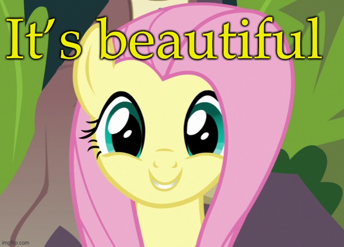 Shyabetes 2 (MLP) | It’s beautiful | image tagged in shyabetes 2 mlp | made w/ Imgflip meme maker