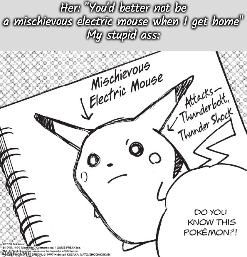 this is by far the best panel in pkmn adventures tbh | Her: "You'd better not be a mischievous electric mouse when I get home"
My stupid ass: | made w/ Imgflip meme maker