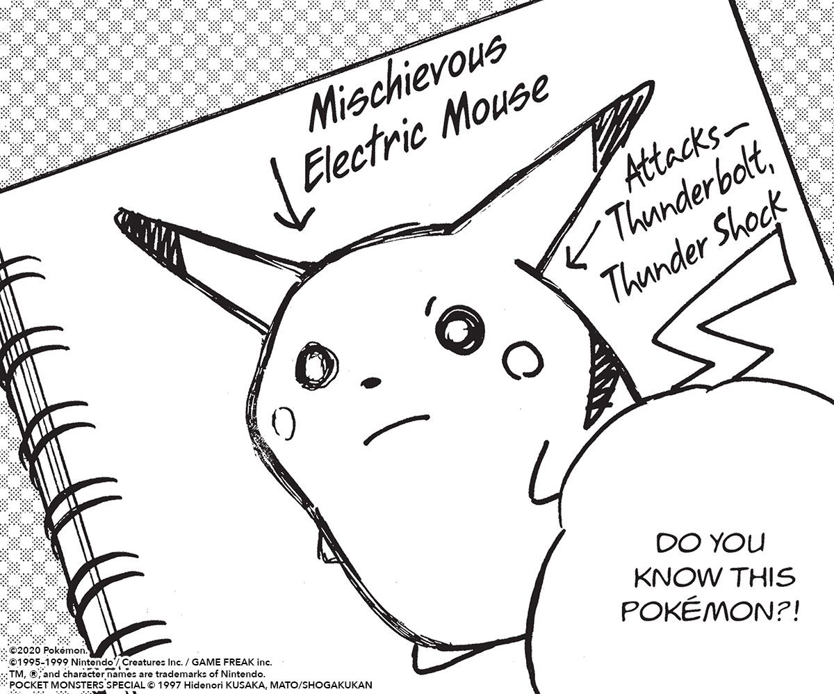 High Quality Mischievous Electric Mouse Blank Meme Template