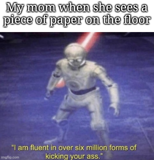 I am fluent in over six million forms of kicking your ass | My mom when she sees a piece of paper on the floor | image tagged in i am fluent in over six million forms of kicking your ass | made w/ Imgflip meme maker