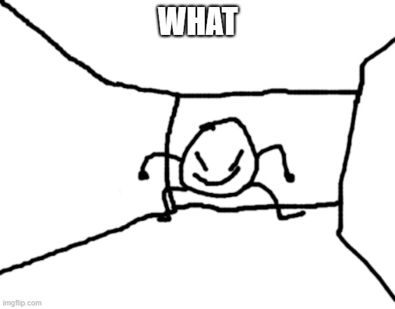 Bob in the hall | WHAT | image tagged in bob in the hall | made w/ Imgflip meme maker