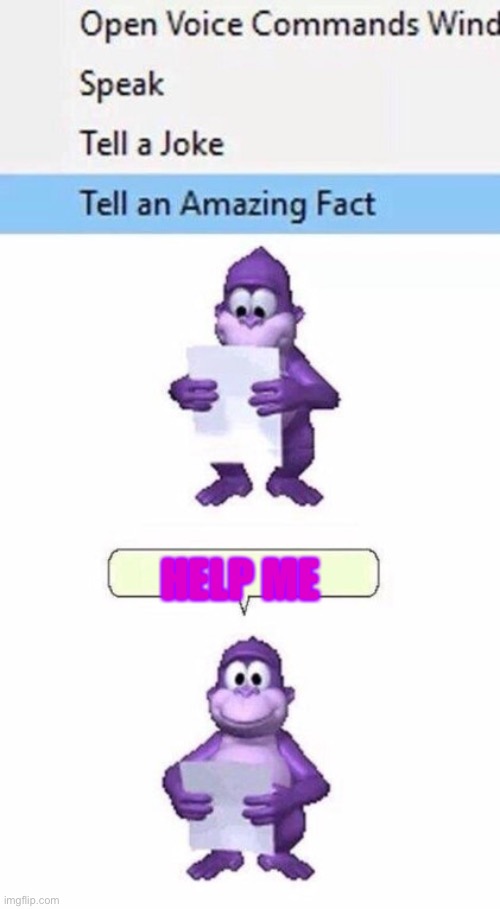 Tell an Amazing Fact | HELP ME | image tagged in tell an amazing fact,bonzi busdy | made w/ Imgflip meme maker