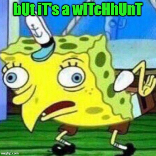 triggerpaul | bUt iT's a wITcHhUnT | image tagged in triggerpaul | made w/ Imgflip meme maker