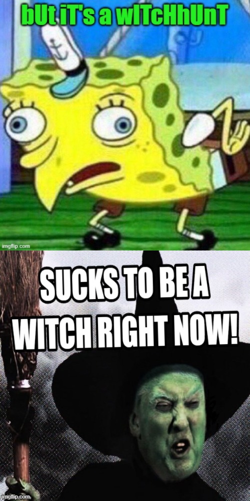 You've got to pick up every stitch....Oh noes, must be the season of the witch | image tagged in witch,trump,hunter biden,lolz,sucks,to be a witch | made w/ Imgflip meme maker