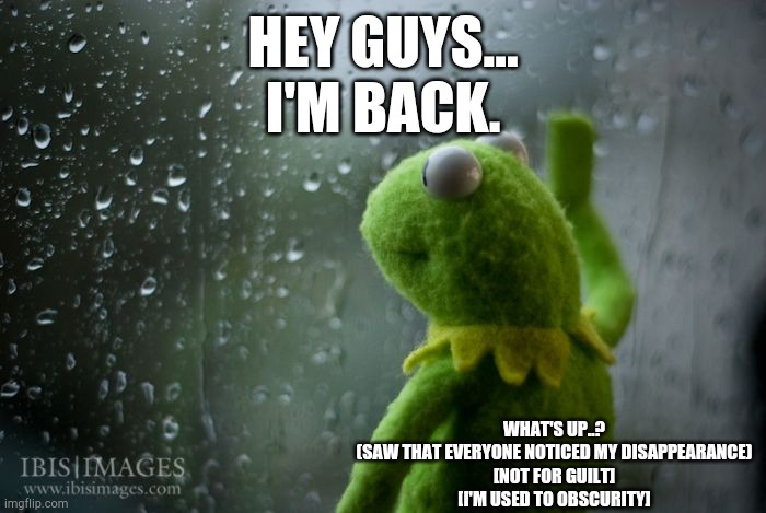 I t 's   s o   c o l d . | HEY GUYS...
I'M BACK. WHAT'S UP..?
(SAW THAT EVERYONE NOTICED MY DISAPPEARANCE)
[NOT FOR GUILT]
[I'M USED TO OBSCURITY] | image tagged in kermit window | made w/ Imgflip meme maker