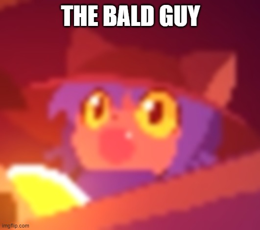 Niko pog | THE BALD GUY | image tagged in niko pog | made w/ Imgflip meme maker
