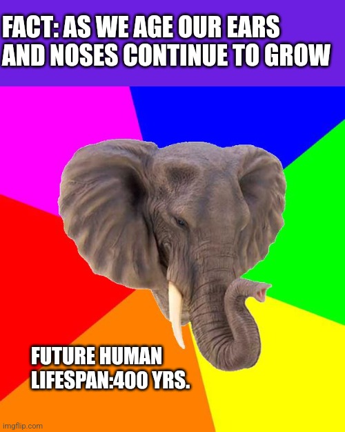 Aging | FACT: AS WE AGE OUR EARS AND NOSES CONTINUE TO GROW; FUTURE HUMAN LIFESPAN:400 YRS. | image tagged in 8tracks elephant | made w/ Imgflip meme maker