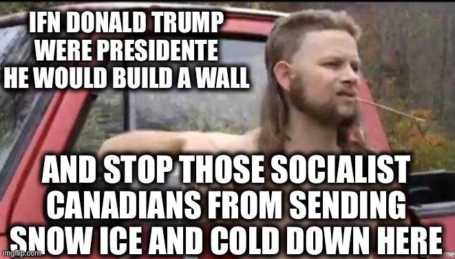 almost politically correct redneck | IFN DONALD TRUMP WERE PRESIDENTE HE WOULD BUILD A WALL; AND STOP THOSE SOCIALIST CANADIANS FROM SENDING SNOW ICE AND COLD DOWN HERE | image tagged in almost politically correct redneck | made w/ Imgflip meme maker