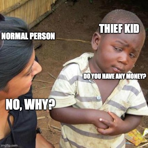 TTheif | THIEF KID; NORMAL PERSON; DO YOU HAVE ANY MONEY? NO, WHY? | image tagged in memes,third world skeptical kid | made w/ Imgflip meme maker