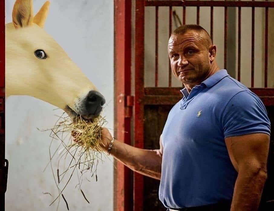 Doge horse feeding Blank Meme Template