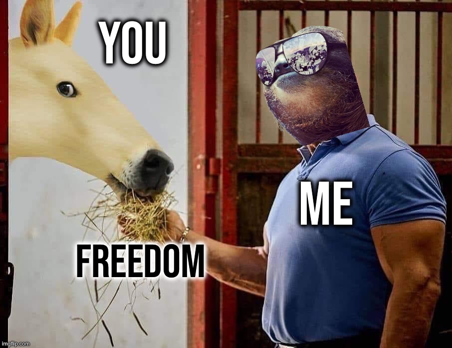 I made this. Eat. | You; Me; Freedom | image tagged in doge horse feeding,s,l,o,t,h | made w/ Imgflip meme maker