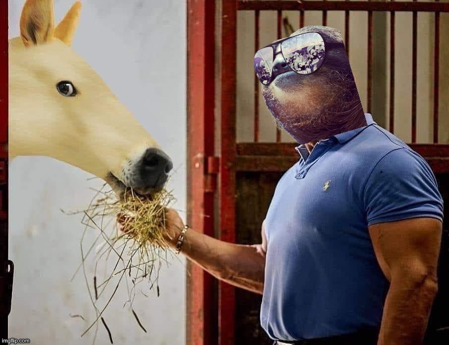 Sloth feeds doge horse | image tagged in sloth feeds doge horse | made w/ Imgflip meme maker